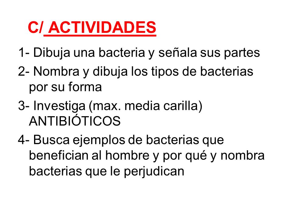 nombrar 2 tipos de bacterias